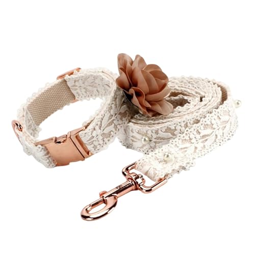Schnürsenkel Blüten Haustier Gurte Bequeme Hundeleine Regulierbare Hundegurte Für Tägliches Gehen Und Aktivitäten Freien Schnürsenkel Blüten Haustier Gurte Bequeme Hundeleine Regulierbare Hundegurte Für Tägliches Gehen Und Aktivitäten Freien von Fahoujs