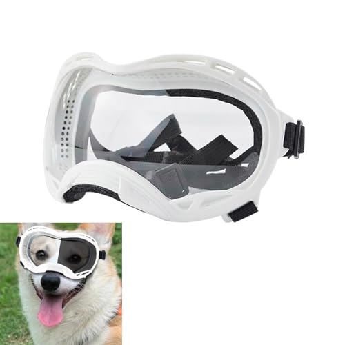 Verstellbare Hunde Sonnenbrille Für Verschiedene Größe Sonnenschutzhütte Mit Farbwechsel Augenwaren Haustier Brillen Verstellbare Hunde Sonnenbrille Für Verschiedene Größe Sonnenschutzhütte Mit Farbwechsel Augenwaren Haustier Brillen von Fahoujs