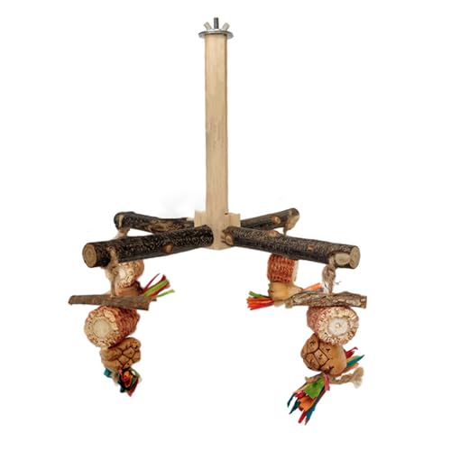 Vogelschleife Rotierender Barschholzständer Barschpapageien Schleifen Kratzer Käfig Spielzeugkratzer Vogelkauen Spielzeug Vogelschleife Rotierender Barschholzständer Barschpapageien Schleifen Kratzer Käfig Spielzeugkratzer Vogelkauen Spielzeug von Fahoujs