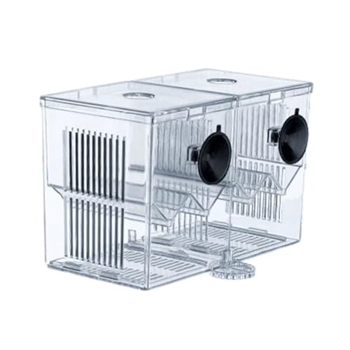 Zuchtbecken für Aquarium Kleinfische Isolationsbox Brutkasten für Fische Klar Fisch Laichkasten Fisch Brutkasten Zuchtbecken für Aquarium Kleinfische Isolationsbox Brutkasten für Fische Klar Fisch Laichkasten Fisch Brutkasten von Fahoujs