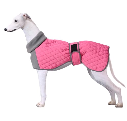 Faihats Italienische Windhundkleidung, Windhund-Wintermantel mit warmem Nylon, Whippet-Pullover für Hunde, Angstzustände, mittelgroße und große Hunde, verstellbarer Pullover (Rosa, L) von Faihats