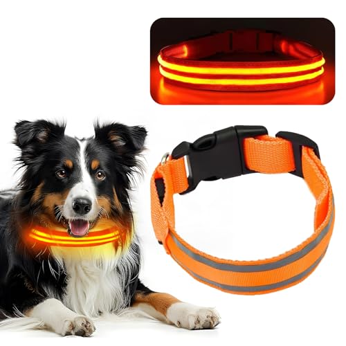 Leuchtendes Hundehalsband Kleine Hunde, FainFun 3 Modi Hundehalsband Leuchtend, Verstellbares Leuchthalsband Hund Aufladbar Breit, Led Halsband, für Mittlere Große Hunde Leuchtendes Hundehalsband Kleine Hunde, FainFun 3 Modi Hundehalsband Leuchtend, Verstellbares Leuchthalsband Hund Aufladbar Breit, Led Halsband, für Mittlere Große Hunde von FainFun