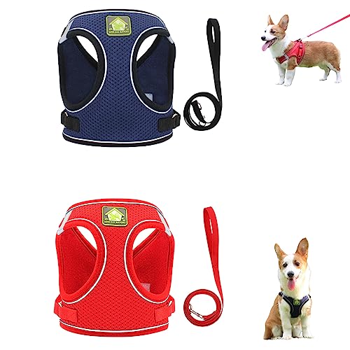 Hundegeschirr und Leine-Set, reflektierendes, atmungsaktives Haustiergeschirr, Verstellbarer Brustgurt für Haustiere (2 Stück) (1,XL) von FairaH
