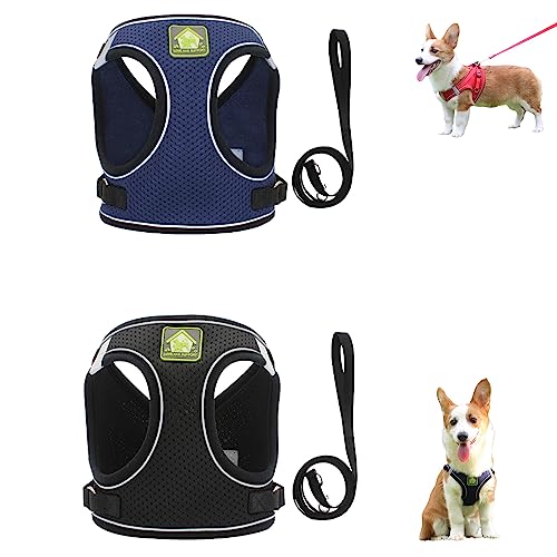 Hundegeschirr und Leine-Set, reflektierendes, atmungsaktives Haustiergeschirr, Verstellbarer Brustgurt für Haustiere (2 Stück) (2,XS) von FairaH