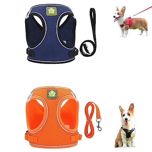Hundegeschirr und Leine-Set, reflektierendes, atmungsaktives Haustiergeschirr, Verstellbarer Brustgurt für Haustiere (2 Stück) (4,L) von FairaH