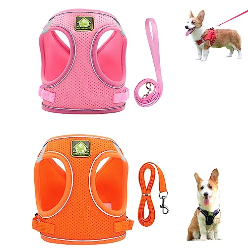 Hundegeschirr und Leine-Set, reflektierendes, atmungsaktives Haustiergeschirr, Verstellbarer Brustgurt für Haustiere (2 Stück) (8,L) von FairaH
