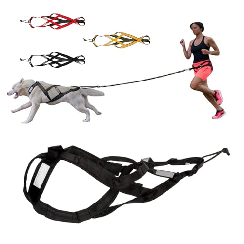 Fairnull Hundehaltergeschirre, reflektierendes Hundeschlittengeschirr, verstellbares Welpengeschirr, bequemer Haustier-Brustgurt für nächtliche Spaziergänge im Freien Schwarz 2XL Fairnull Hundehaltergeschirre, reflektierendes Hundeschlittengeschirr, verstellbares Welpengeschirr, bequemer Haustier-Brustgurt für nächtliche Spaziergänge im Freien Schwarz 2XL von Fairnull