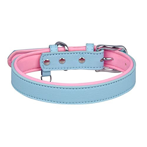 Fairnull Welpenhalsband, Hautaffinität, feine Verarbeitung, tragbar, für kleine Hunde, Mikrofaser, Kunstleder, verlorenes Halsband für Outdoor, Blau, Größe XL von Fairnull