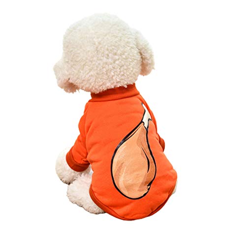 Haustierkleidung mit Cartoon-Druck, warmer weicher Teddy-Pullover für Aktivitäten im Freien, elastische Manschette für Outdoor-Aktivitäten von Fairnull