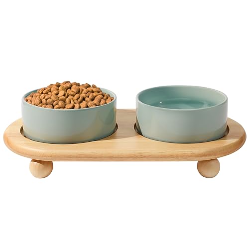 Fairsh Doppeltes Keramik-Katzenfutter- und Wassernapf-Set mit erhöhtem Ständer, rutschfeste Katzen-Wassernäpfe, erhöhtes Katzenfutter für den Innenbereich, ästhetisch, langlebig, schwerer Futternapf, von Fairsh
