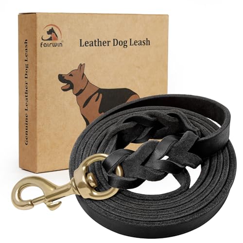 fairwin geflochtenes Lederleine für Hunde, äußerst robust, in Militärqualität, für große/mittlere/Kleine Hunde, für Training und Spazierengehen fairwin geflochtenes Lederleine für Hunde, äußerst robust, in Militärqualität, für große/mittlere/Kleine Hunde, für Training und Spazierengehen von Fairwin