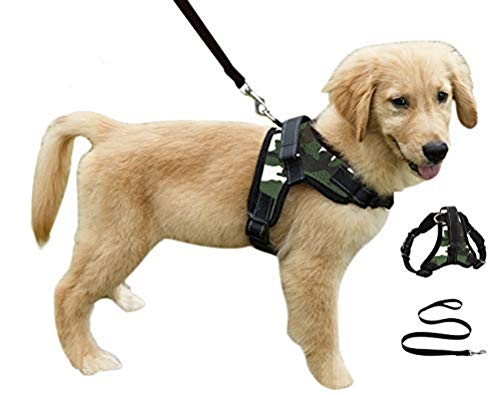 Strapazierfähiges, verstellbares Hundegeschirr mit Leine, reflektierend, atmungsaktiv, gepolstert, mit Griff, für kleine, mittelgroße und große Hunde von FakeFace