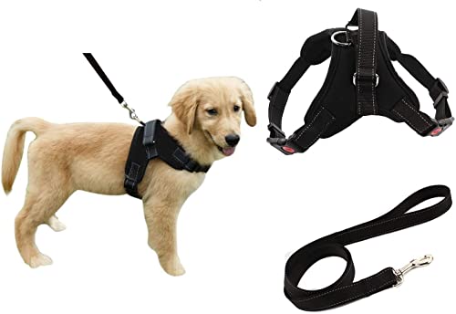 Strapazierfähiges Hundegeschirr mit Leine, Sicherheitsgeschirr für Welpen, Leine und Halsband, gepolstert, mit Griff, für kleine, (XS, schwarzes Geschirr + schwarze Leine) von FakeFace