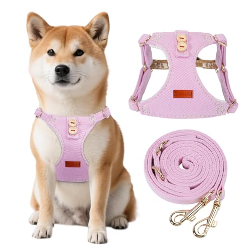 Faleela Welpengeschirr und Leine, kein Ziehen, weich, verstellbar, erstickungsfrei, ausbruchsicher, leicht, niedliche Haustierweste für kleine und mittelgroße Hunde, Rosa, Größe S Faleela Welpengeschirr und Leine, kein Ziehen, weich, verstellbar, erstickungsfrei, ausbruchsicher, leicht, niedliche Haustierweste für kleine und mittelgroße Hunde, Rosa, Größe S von Faleela