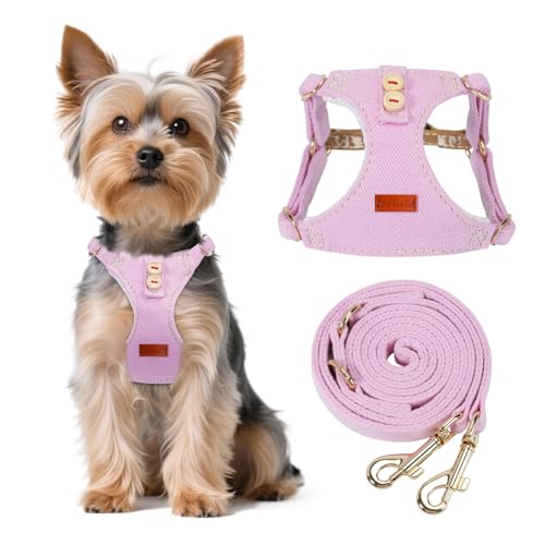 Faleela Welpengeschirr und Leine, kein Ziehen, weich, verstellbar, erstickungsfrei, ausbruchsicher, leicht, niedliche Haustierweste für kleine und mittelgroße Hunde, Rosa, Größe XXS Faleela Welpengeschirr und Leine, kein Ziehen, weich, verstellbar, erstickungsfrei, ausbruchsicher, leicht, niedliche Haustierweste für kleine und mittelgroße Hunde, Rosa, Größe XXS von Faleela