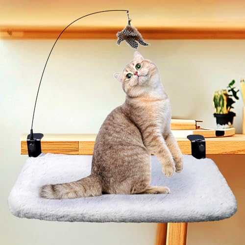 FamilyKit Katzenbett für Schreibtisch, Plüsch- und Netz-Schreibtisch, Katzenbett, wärmende Katzenbetten für Indoor-Katzen, stabile Katzenhängematte, Tischklemme, Haustierbett, Katze FamilyKit Katzenbett für Schreibtisch, Plüsch- und Netz-Schreibtisch, Katzenbett, wärmende Katzenbetten für Indoor-Katzen, stabile Katzenhängematte, Tischklemme, Haustierbett, Katze von FamilyKit