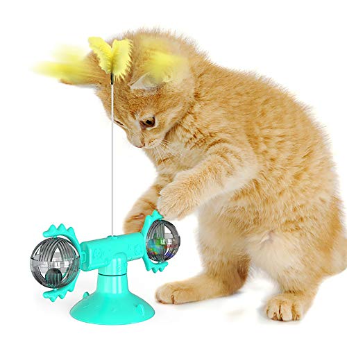 FanLe Interaktives Katzenspielzeug für Hauskatzen, Windmühle Katzenspielzeug Plattenspieler necken mit Saugnapf Kratzkitzel Katzen Haarbürste Lustiges Kätzchenspielzeug mit Katzenminze und Ball von FanLe