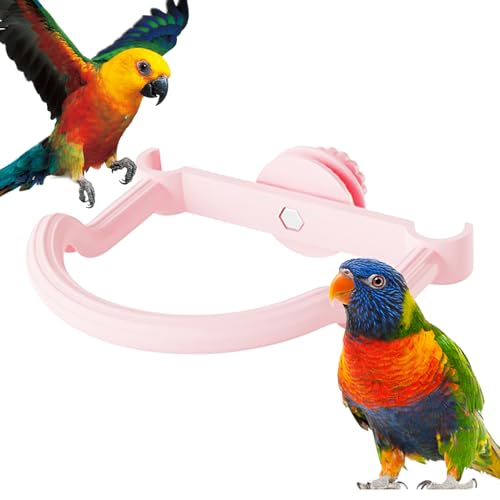 Fangssiy Vogelsitzstangen Für - Spielzeug Kletter Vogel Sitzstange Ständer | rutschfeste Pfotenpflege Kleintier Klettertrainingszubehör Für Conure Ara Wellensittich Unzertrennlicher Fangssiy Vogelsitzstangen Für - Spielzeug Kletter Vogel Sitzstange Ständer | rutschfeste Pfotenpflege Kleintier Klettertrainingszubehör Für Conure Ara Wellensittich Unzertrennlicher von Fangssiy