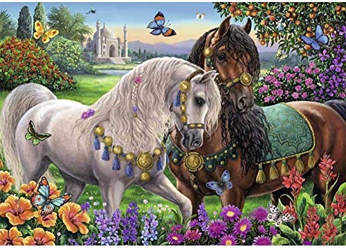 Fangxuee Wiederverwendbare Decke für Hundeurin-Pad, Saugfähige Windeln, Waschbar. Haustierbett-Windel, 70 X 100 cm von Fangxuee