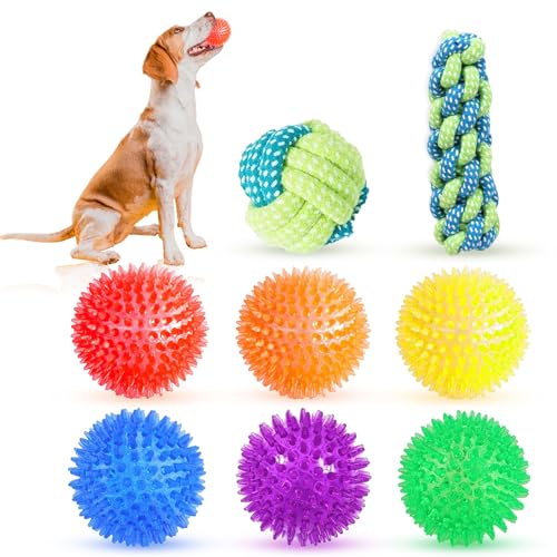 8-teiliges Welpenspielzeug-Set: Kau-, Quietsch- und Hüpfspielzeug für Spaß, Zahnen und Welpenspielzeug - perfekt für kleine Hunde und Welpen 8-teiliges Welpenspielzeug-Set: Kau-, Quietsch- und Hüpfspielzeug für Spaß, Zahnen und Welpenspielzeug - perfekt für kleine Hunde und Welpen von Fanney