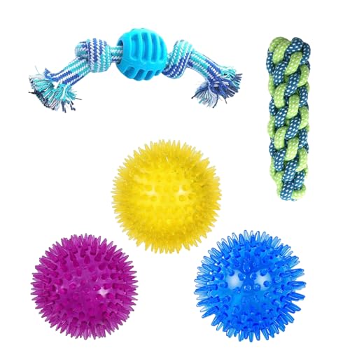 Fanney Playful Paws Kauspielzeug-Set für Hunde, 5 Stück, Stachelbälle und Seilspielzeug, widerstandsfähiges Gummi-Hundespielzeug mit weichen Massagebällen, langlebiges und leicht zu reinigendes Fanney Playful Paws Kauspielzeug-Set für Hunde, 5 Stück, Stachelbälle und Seilspielzeug, widerstandsfähiges Gummi-Hundespielzeug mit weichen Massagebällen, langlebiges und leicht zu reinigendes von Fanney