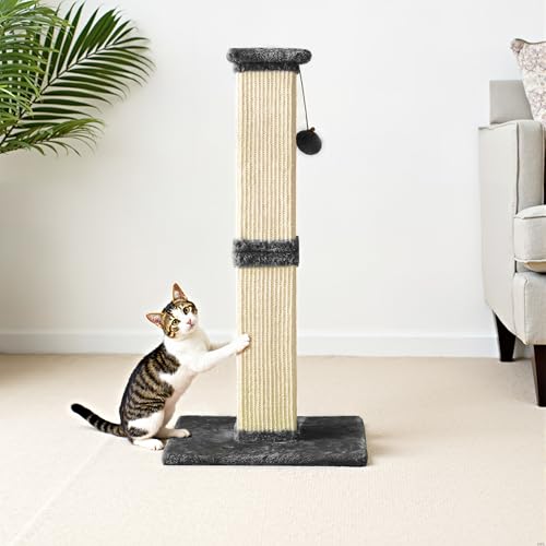 Fansafurn Kratzbaum mit hängendem Spielzeugball, 81,3 cm hoch, Sisal-Kratzbaum für Indoor-Katzen, Grau von FansaFurn