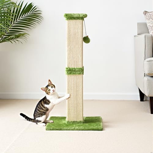Fansafurn Kratzbaum mit hängendem Spielzeugball, 81,3 cm hoch, Sisal-Kratzbaum für Indoor-Katzen, Grün Fansafurn Kratzbaum mit hängendem Spielzeugball, 81,3 cm hoch, Sisal-Kratzbaum für Indoor-Katzen, Grün von FansaFurn