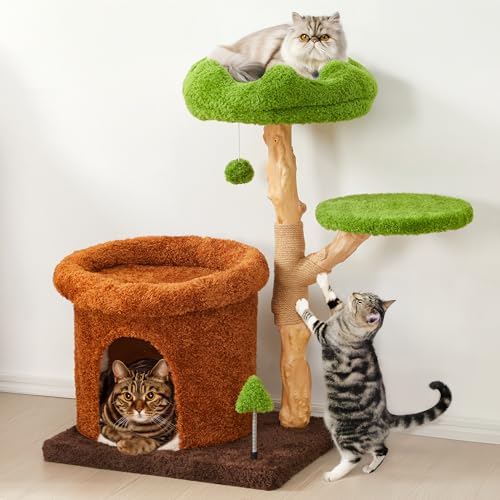 Fansafurn Niedlicher Kratzbaum mit Kratzstämmen, Bett & Höhle, mehrstufiger Katzenturm für verspielte Katzen und mehrere Katzen, 81,3 cm großer Kletterturm aus Holz mit Naturholz und weichem Plüsch von FansaFurn