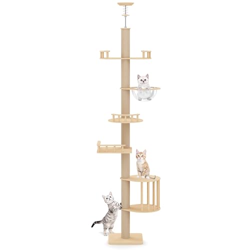 Fansafurn Vom Boden bis zur Decke verstellbarer Katzenbaum Turm mit Acrylkapsel, platzsparende mehrstufige Struktur, Sisalumwickelte Kratzstämme, ideal für Kätzchen und große Katzen, stabil und modern Fansafurn Vom Boden bis zur Decke verstellbarer Katzenbaum Turm mit Acrylkapsel, platzsparende mehrstufige Struktur, Sisalumwickelte Kratzstämme, ideal für Kätzchen und große Katzen, stabil und modern von FansaFurn