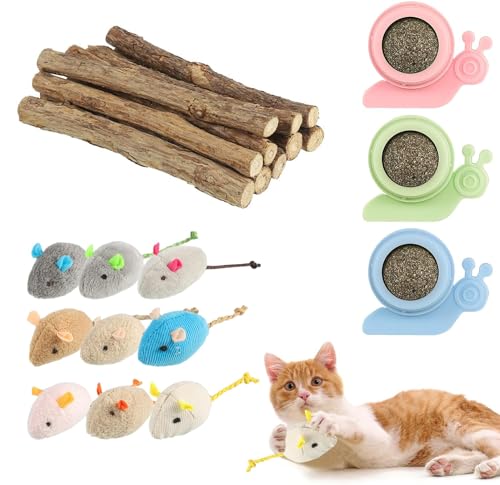 Fanshiontide Katzenminze Stick 22 Stück,9 Katzenspielzeug Maus,Matatabi Stick für Katzen,3 Katzenminze Ball für Katzenwand Katzenminze Spielzeug für Katzen zur Zahnreinigung,Zahn Kauspielzeug von Fanshiontide