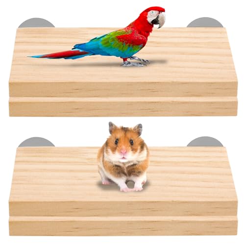 Fanshiontide Vogelplattform für Haustiere, Naturholz, Vogelsitz, Vogelkäfig-Zubehör, Papageien-Sitzstangen, Standplattformen, Kletterplattform für kleine Tiere, Wellensittiche, Chinchilla, Hamster, Fanshiontide Vogelplattform für Haustiere, Naturholz, Vogelsitz, Vogelkäfig-Zubehör, Papageien-Sitzstangen, Standplattformen, Kletterplattform für kleine Tiere, Wellensittiche, Chinchilla, Hamster, von Fanshiontide