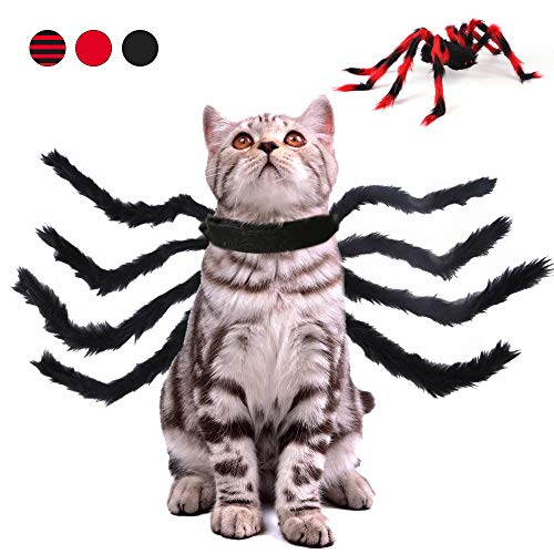FANSU Halloween Haustier Kostüm Hund Cosplay-Kostüm, Spinne Flügel Modellieren,Kreativität Hunde und Katzen Komisch Kostüm,für Partys Halloween Pet (L,schwarz) von FANSU