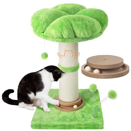 Fantasreen Katzenkratzbaum Blume, hoher Kratzbaum für Indoor-Katzen mit dickem Pfosten, Durchmesser: 11,9 cm, abnehmbare Blumen-Sitzstange, Kratzbaum mit Spielplatz, Frühlingsball, Grün Fantasreen Katzenkratzbaum Blume, hoher Kratzbaum für Indoor-Katzen mit dickem Pfosten, Durchmesser: 11,9 cm, abnehmbare Blumen-Sitzstange, Kratzbaum mit Spielplatz, Frühlingsball, Grün von Fantasreen