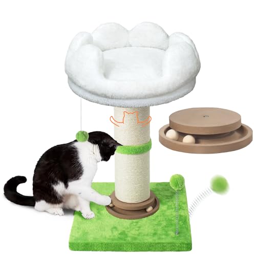 Fantasreen Kratzbaum, 63,5 cm hoch, Katzenkratzer mit Sitzstange für Indoor-Katzen, kleiner Katzenbaum mit Bett, Durchmesser: 11,9 cm, abnehmbares Blumen-Wolkenbett für Kätzchen und große Katzen von Fantasreen