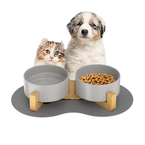 Doppel 450ml Katzennapf Hundenapf Keramik Futternapf Fressnapf Hund Erhöht Futterschüssel mit Bambus Ständer und Futter- und Wassernapf (Grau, 450ML) von Fantictas