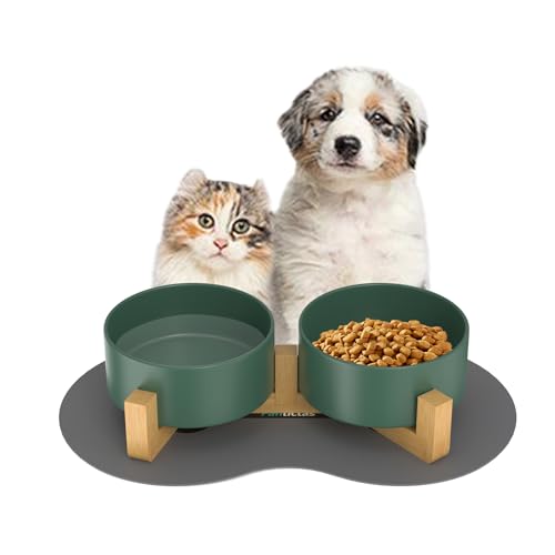 Doppel 450ml Katzennapf Hundenapf Keramik Futternapf Fressnapf Hund Erhöht Futterschüssel mit Bambus Ständer und Futter- und Wassernapf (Grün 450ML) von Fantictas