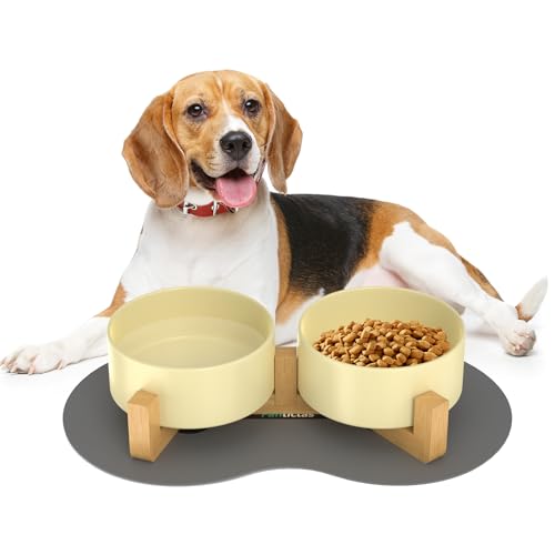 Doppel 850ml Hundenapf Keramik Futternapf Fressnapf Hund Erhöht Futterschüssel mit Bambus Ständer und rutschfestem Matte für mittelgroße und große Hunde Futter- und Wassernapf (Beige) von Fantictas