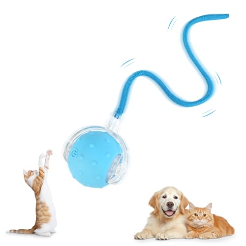 Farerkass Interaktives Hundespielzeug Ball, Katzenspielzeug, Elektrischer Hundeball Spielzeug, 360° Smart Rolling Pet Ball für Katzen und Hunde (Blue) von Farerkass