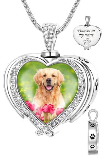 Farfume Haustier-Asche-Halsketten, personalisiertes Bild & Quate Hunde-Gedenkgeschenke für den Verlust von Hund/Katze, Urne, Urnen-Schmuck, Pfotenabdruck-Halsketten, Haustiere, Verlust, Sympathie, von Farfume