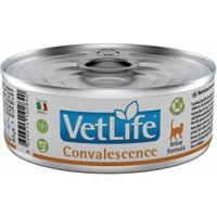 VetLife Farmina Natural Convalescenza 12x85g von VetLife