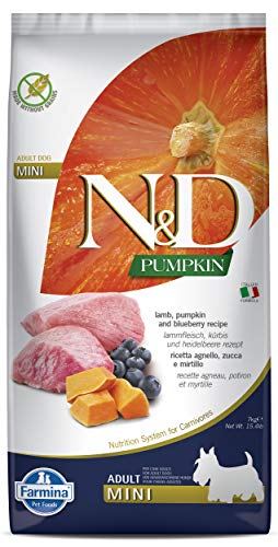 Farmina N&D Pumpkin Adult Mini Pellets Hundefutter (Trockenfutter, mit hochwertigen Vitaminen und natürliche Antioxidantien, ohne Mais, Zutaten: Lamm und Blaubeere, Portionsgröße: 7 kg) von Farmina