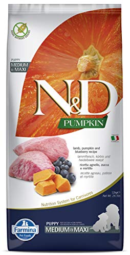 Farmina N&D Pumpkin Puppy Medium Pellets Hundefutter (Trockenfutter, mit hochwertigen Vitaminen und natürliche Antioxidantien, ohne Mais, Zutaten: Lamm und Blaubeere, Portionsgröße: 12 kg) von Farmina