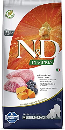 FARMINA N&D HS81611,GF Pumpkin Dog M/L Lamb & Blueberry FARMINA N&D HS81611,GF Pumpkin Dog M/L Lamb & Blueberry von Farmina