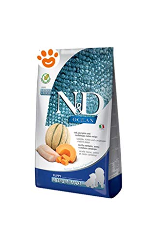 Farmina N&D Codfish Pumpkin and Cantaloupe Melon Puppy Medium & Maxi 12 kg von DynamicSales (India)