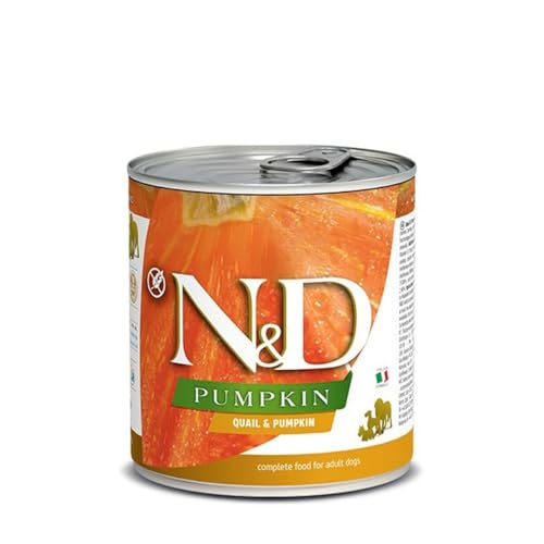 Farmina N&D Pumpkin Pastete Hundefutter (Nassfutter, mit hochwertigen Vitaminen und natürliche Antioxidantien, ohne Mais, Zutaten: Wachtel und Kürbis, Portionsgröße: 285 g) von Farmina