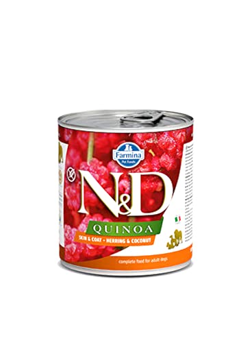 Farmina N&D Quinoa Pastete Hundefutter (Nassfutter, mit hochwertigen Vitaminen und natürliche Antioxidantien, ohne Mais, Zutaten: Hering und Kokosnuss, Portionsgröße: 285 g) von N&D