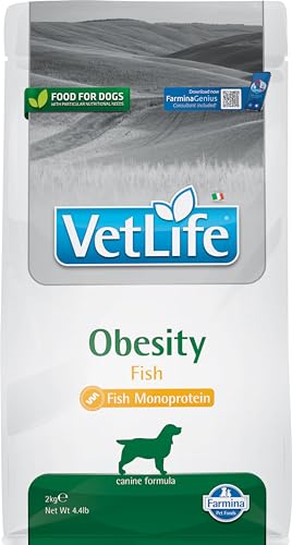 Vet Life Natural Diet Dog Obesity Fish 2 KG von Farmina