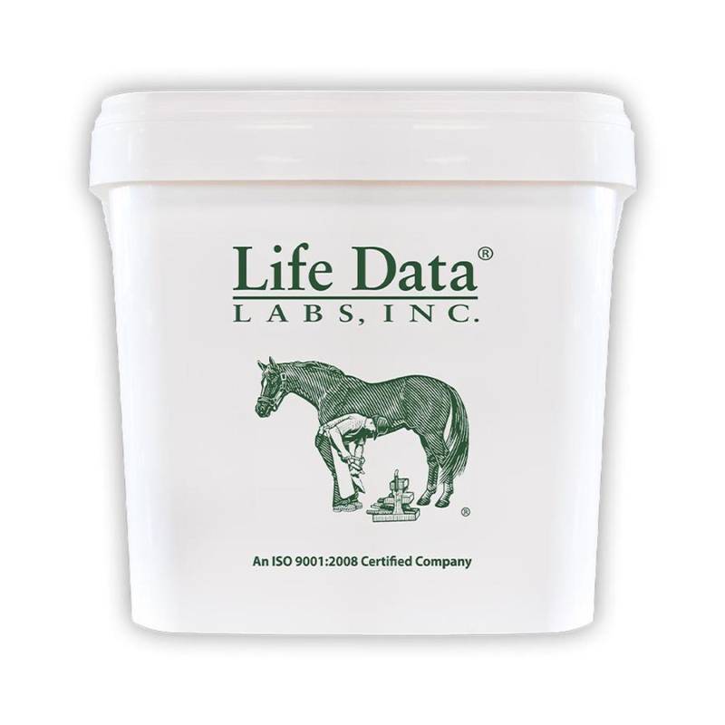 Life Data Leerer Eimer mit Deckel zur Futteraufbewahrung für Life Data Farrier's Formula von Farriers Formula