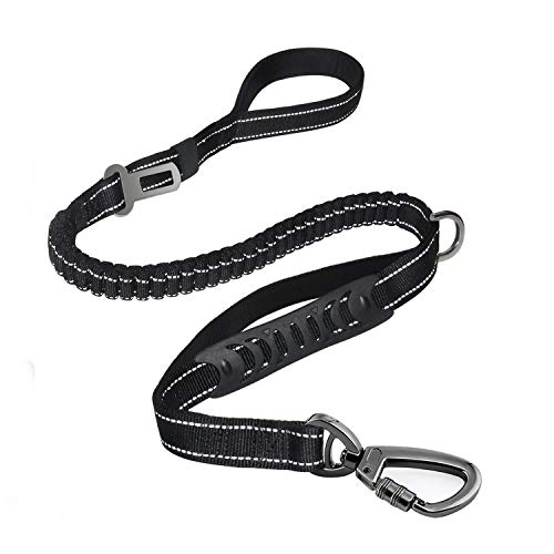 Fashion&cool Robuste Hundeleine, besonders große Hunde mit bis zu 150 kg, 1,8 m, reflektierend, stoßdämpfend, mit Bungee-Schnalle, 2 gepolsterte Verkehrshebel für zusätzliche Kontrolle Fashion&cool Robuste Hundeleine, besonders große Hunde mit bis zu 150 kg, 1,8 m, reflektierend, stoßdämpfend, mit Bungee-Schnalle, 2 gepolsterte Verkehrshebel für zusätzliche Kontrolle von Fashion&cool