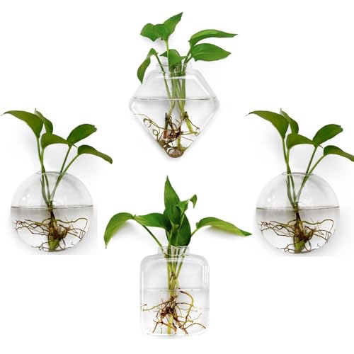 Glas-Pflanzgefäße zum Aufhängen, Pflanzgefäße, Terrarien, Innenwand, Blumenvase, Behälter, Wandmontage, Glashalter, Fensterterrarium, 4 Stück Glas-Pflanzgefäße zum Aufhängen, Pflanzgefäße, Terrarien, Innenwand, Blumenvase, Behälter, Wandmontage, Glashalter, Fensterterrarium, 4 Stück von Fashionstorm